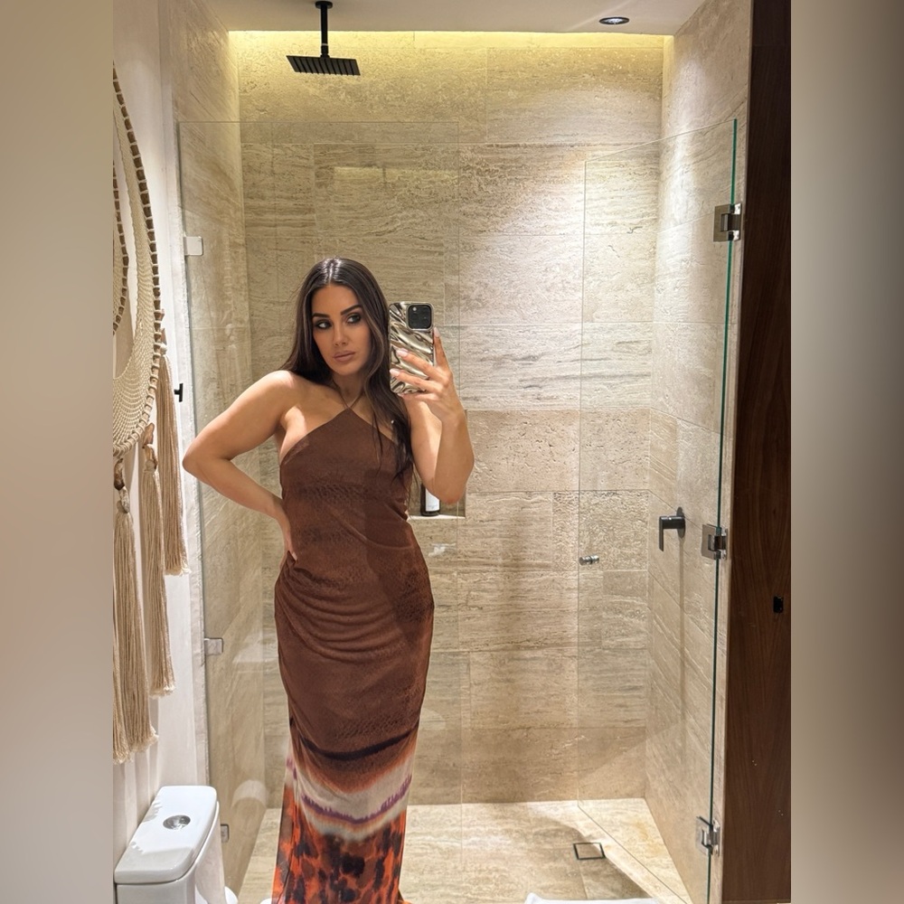 Zara Dress
